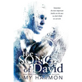 The Song of David - Paperback
