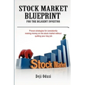 Stock Market Blueprint for the Diligent Investor - Paperback