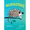 Newborns: How Baby Animals Come Into the World - Hardcover