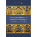 Theological Hermeneutics and the Book of Numbers as Christian Scripture - Hardcover