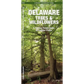 Delaware Trees & Wildflowers, 2nd Ed: A Folding Pocket Guide to Familiar Plants - Paperback