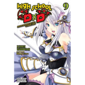 High School DXD, Vol. 9 (Light Novel): Pandemonium on the School Trip - Paperback