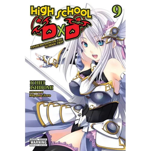 High School DXD, Vol. 9 (Light Novel): Pandemonium on the School Trip - Paperback