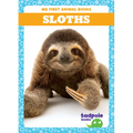 Sloths - Paperback