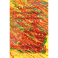 The Equivalence of Elementary Particle Theories and Computer Languages: Quantum Computers, Turing Machines, Standard Model, Superstring Theory, and a - Paperback