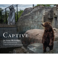 Captive - Paperback