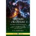 Tertium Organum, The Third Canon of Thought: A Key to the Enigmas of the World, A Classic of Theosophy and the Occult - Paperback