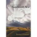 Stormy Waters on the Sagebrush Sea - Paperback