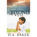 Visions Beyond the Veil - Paperback