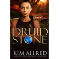 A Druid Stone: A Time Travel Romance Adventure - Paperback