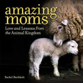 Amazing Moms: Love and Lessons from the Animal Kingdom - Hardcover