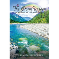 The Storm Unseen - Paperback