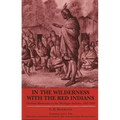 In the Wilderness with the Red Indians: German Missionary to the Michigan Indians, 1847-1853 - Paperback