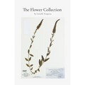 The Flower Collection - Paperback