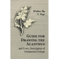 Guide for Drawing the Acanthus, and Every Description of Ornamental Foliage - Paperback