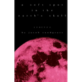 A Soft Spot in the Earth's Skull - Paperback