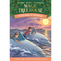 Dolphins at Daybreak - Paperback