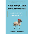 What Sheep Think about the Weather: How to Listen to What Animals Are Trying to Say - Paperback