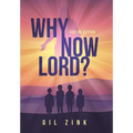 Why Now Lord?: God in Action - Hardcover