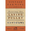 Rearing the Laying Pullet - Paperback
