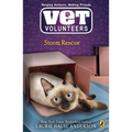 Storm Rescue - Paperback