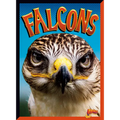 Falcons - Library Binding