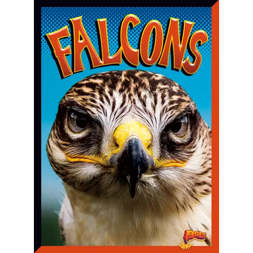 Falcons - Library Binding
