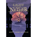 A Light From the Nether - Paperback