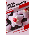 Hoya (Wax Plant): Open terrarium, Beginner's Guide - Paperback