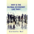 Why Is the Global Economy Like This? - Hardcover