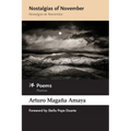 Nostalgias of November / Nostalgias de Noviembre: Poems / Poemas - Paperback