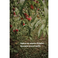 Cultivo de árboles frutales: Una guía para el jardín - Paperback