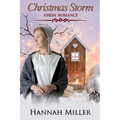 Christmas Storm - Paperback