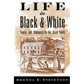 Life in Black and White: Family and Community in the Slave South - Paperback