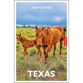 Insight Guides Texas: Travel Guide with eBook - Paperback