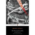 The Street of Crocodiles and Other Stories - Paperback