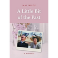 A Little Bit of the Past - Paperback