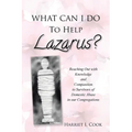 What Can I Do to Help Lazarus?: Reaching Out with Knowledge and Compassion to Survivors of Domestic Abuse in our Congregations - Paperback