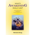 What's Awakening Really Like?: Twenty ordinary people talk about life beyond the spiritual search - Paperback