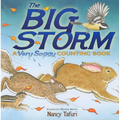 The Big Storm: A Very Soggy Counting Book - Hardcover