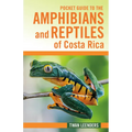 Pocket Guide to the Amphibians and Reptiles of Costa Rica - Paperback