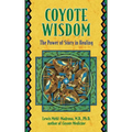 Coyote Wisdom: The Power of Story in Healing - Paperback