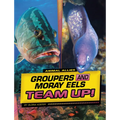 Groupers and Moray Eels Team Up! - Hardcover
