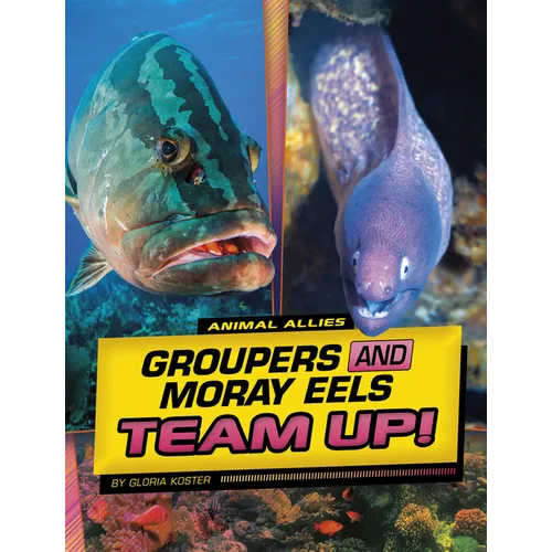 Groupers and Moray Eels Team Up! - Hardcover