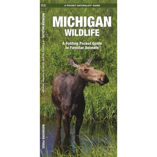 Michigan Wildlife: A Folding Pocket Guide to Familiar Animals - Paperback