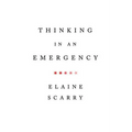 Thinking in an Emergency - Paperback