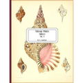 Vintage Prints: Shells: Vol. 4 - Paperback