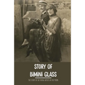 Story Of Bimini Glass: The Story Of Six Young Artists In The 1920s: Glass Business - Paperback