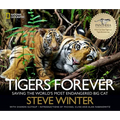 Tigers Forever: Saving the World's Most Endangered Big Cat - Hardcover