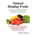Natural Healing Foods - Paperback